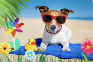 summer fun