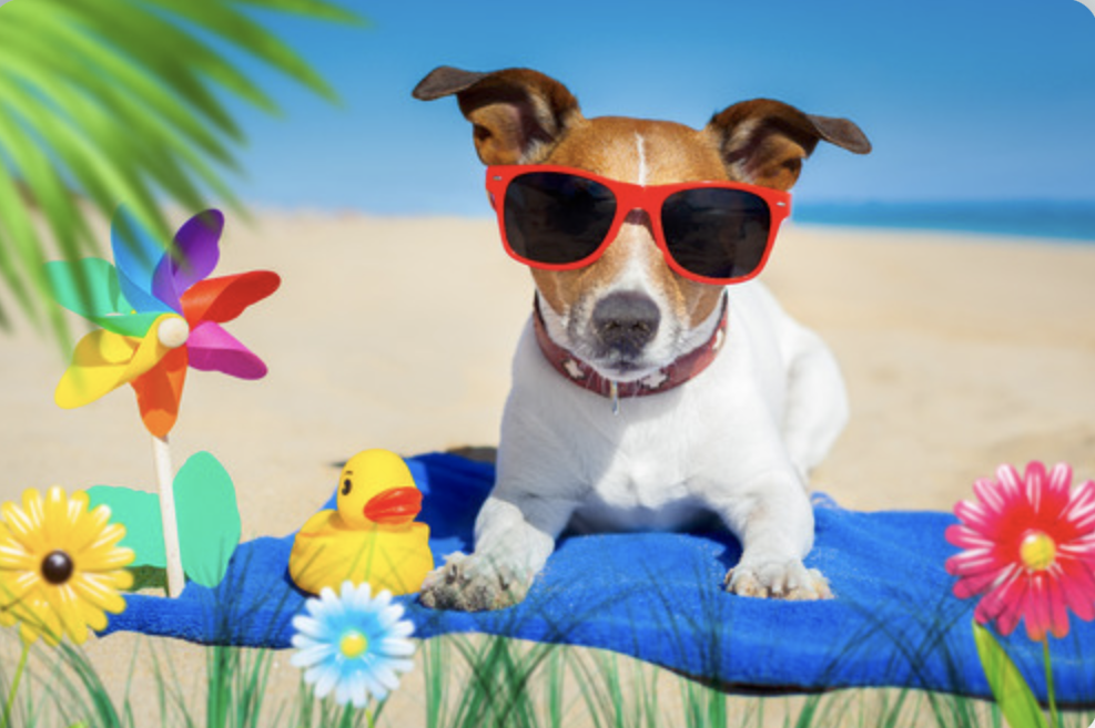 summer fun
